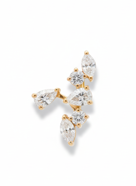Gold and crystal earring on a white background