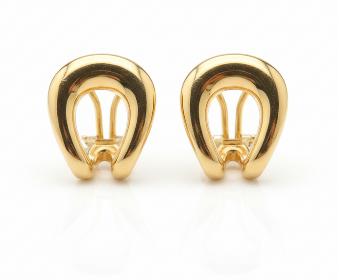 Pair of gold earrings on a white background